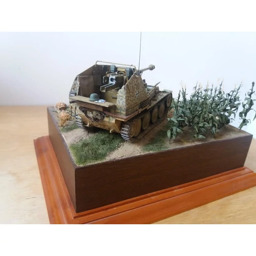 Marder a kukoricásban