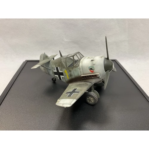 Tiger Model Bf109 Egg Plane