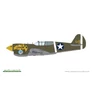 Kép 9/12 - P-40E Warhawk EDUARD-PROFIPACK