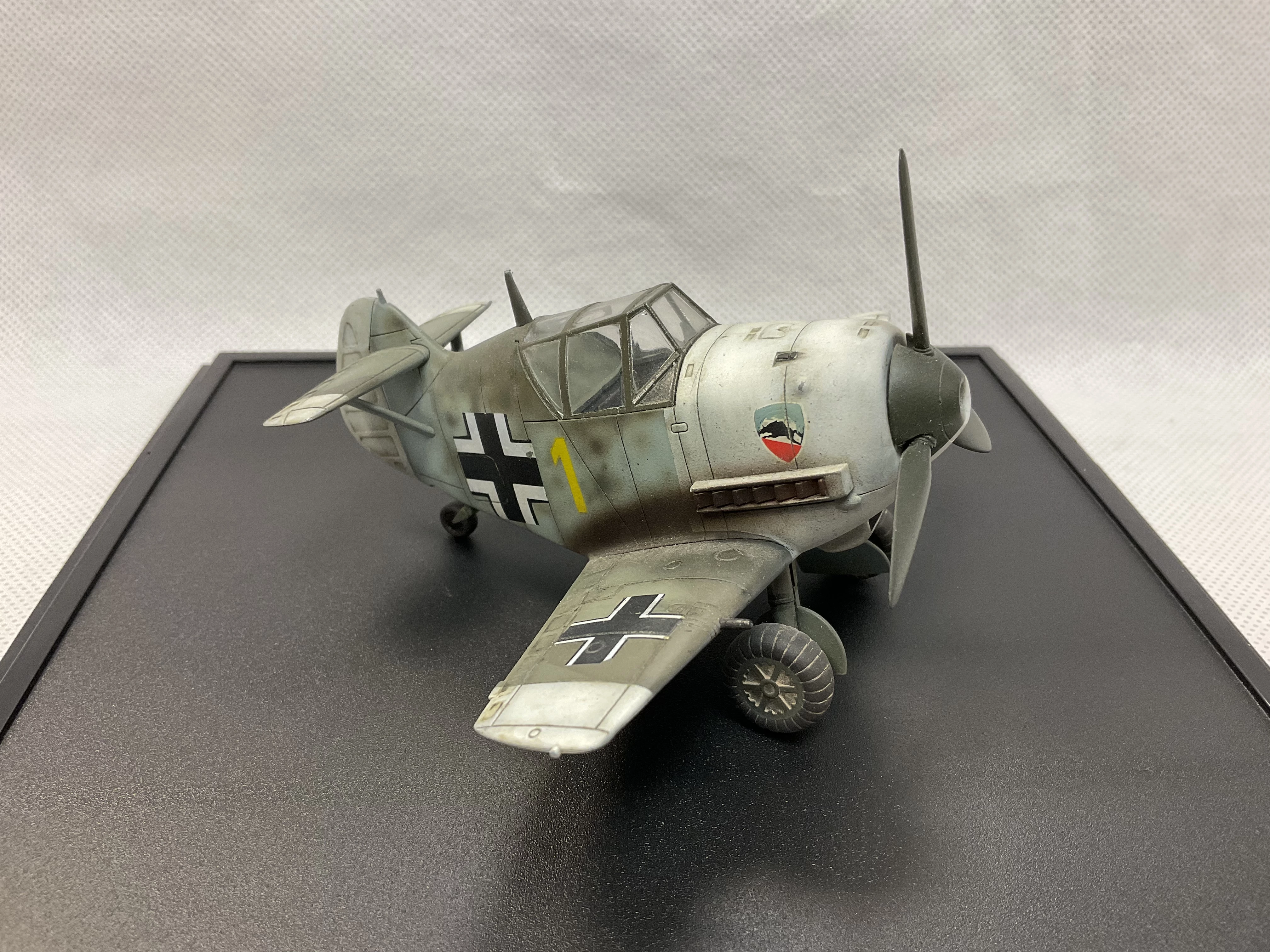 Tiger Model Bf109 Egg Plane